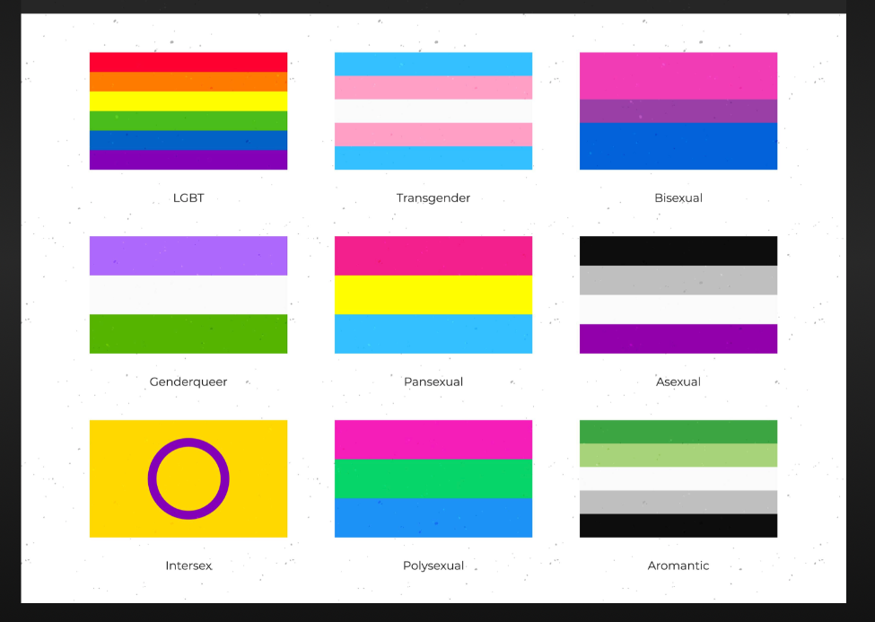 Various Pride Flags