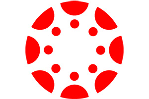Canvas platform