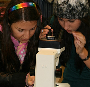Earth Science Department Business Education