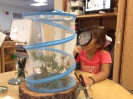 Student Discovering Nature