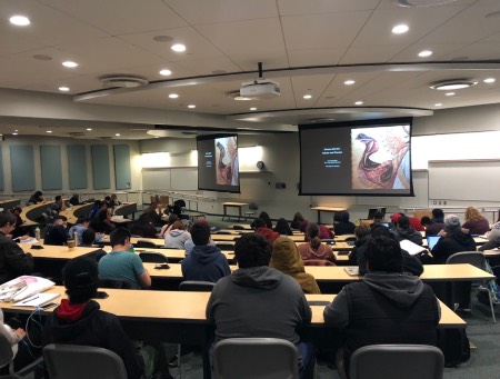 Laura Llwellyn lecture
