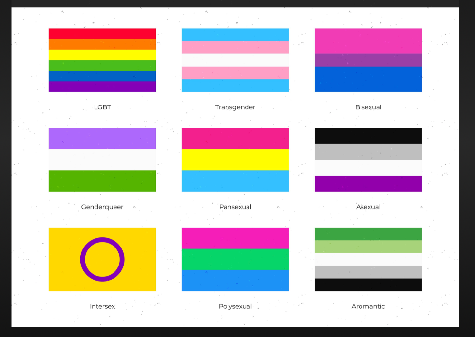 Pride Flags Various Pride Flags