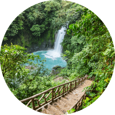 Circular cropped view of a stone staircase leading down through a lush rainforest toward a vibrant blue-turquoise waterfall pool.