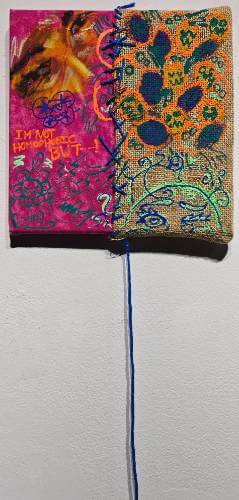 I'm not homophobic but-!