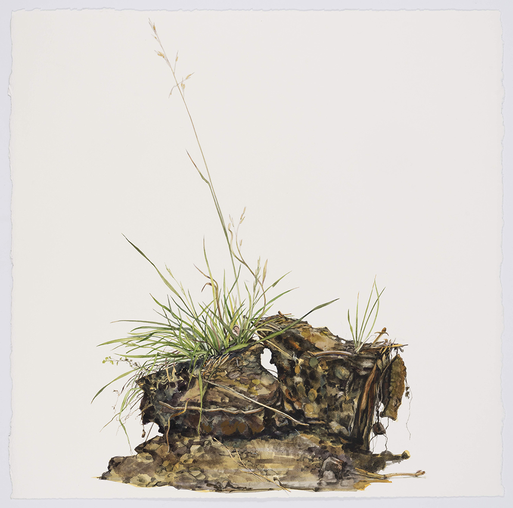 A clump of weeds and dirt.