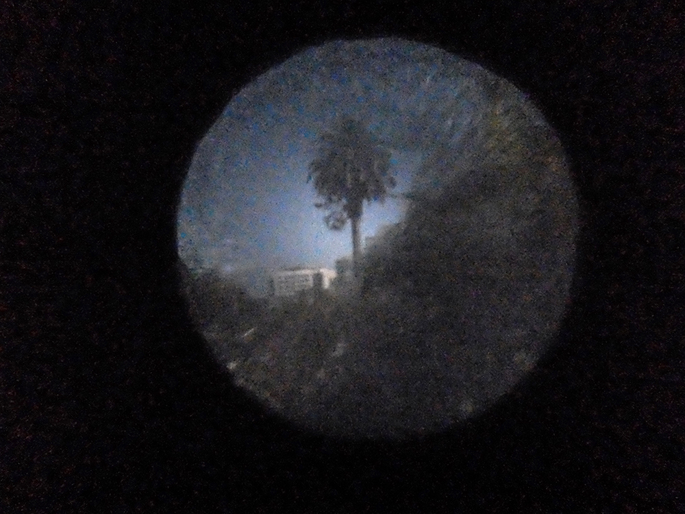 A round pinhole showing a palm tree.