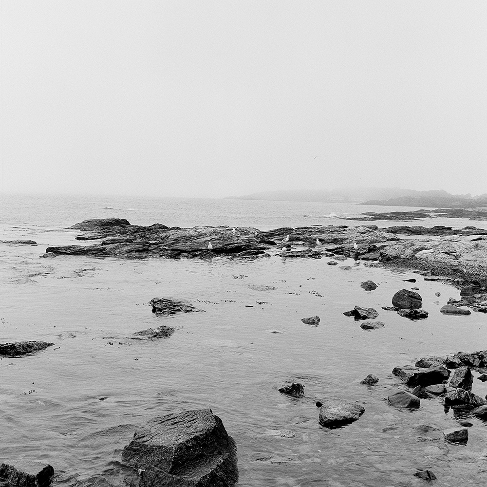 A foggy beach scene.