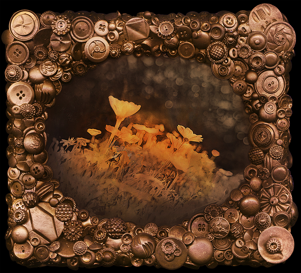 Buttons surround flowers. Buttons surround flowers.