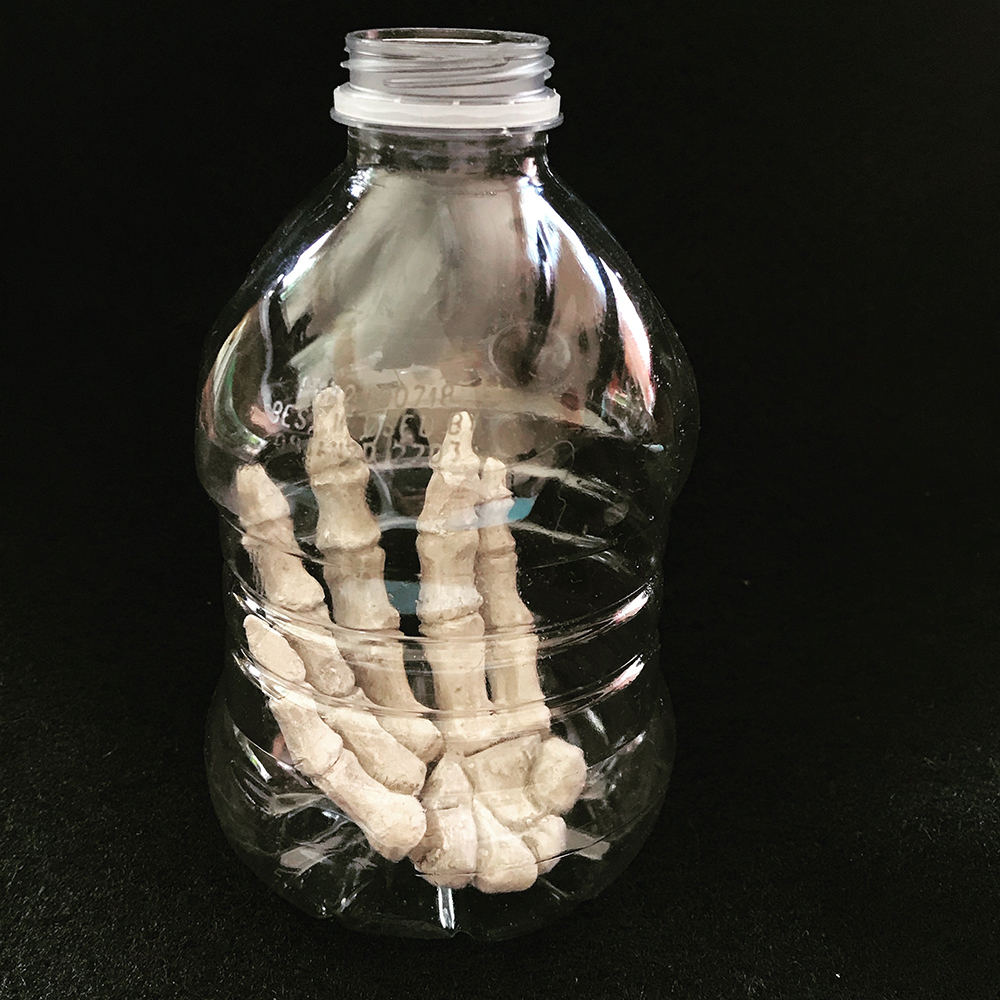 Ceramic Fossil in a Plastic Bottle
