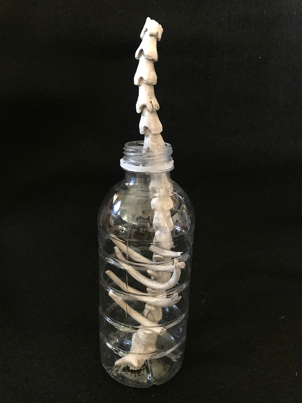 Ceramic Fossil in a Plastic Bottle