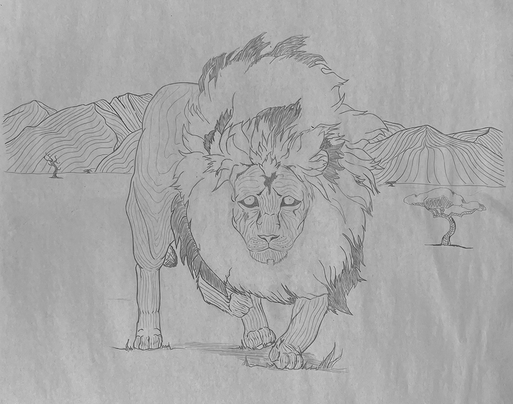 Line Drawing of a Lion
