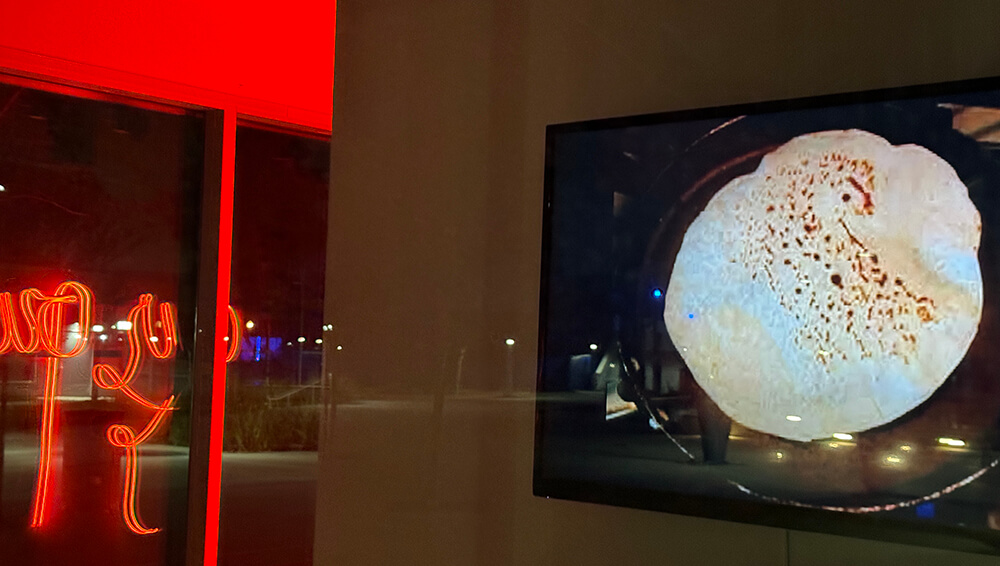 Teresa Flores Teresa Flores