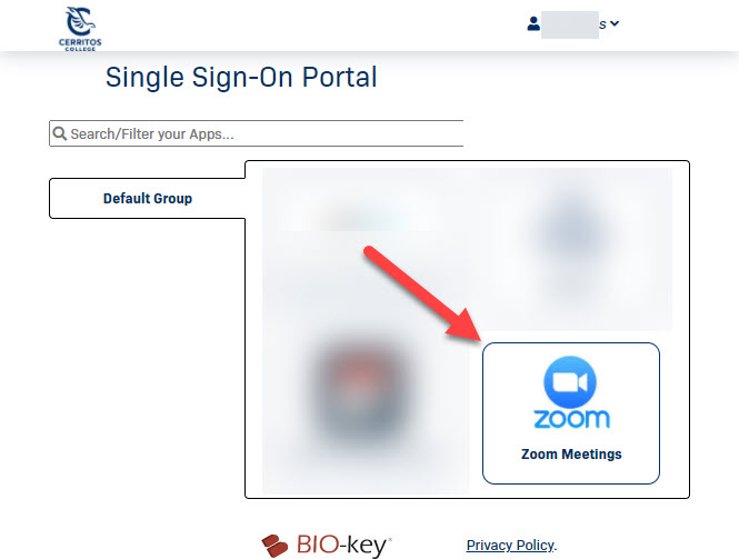 Zoom in the SSO portal