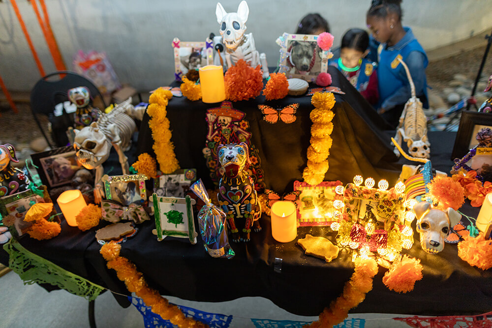 Altar honoring pets with dog skeleton figures, pet photos, marigolds, candles, and dog-shaped treats on black cloth.