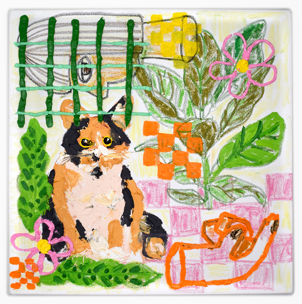 A cat in a garden