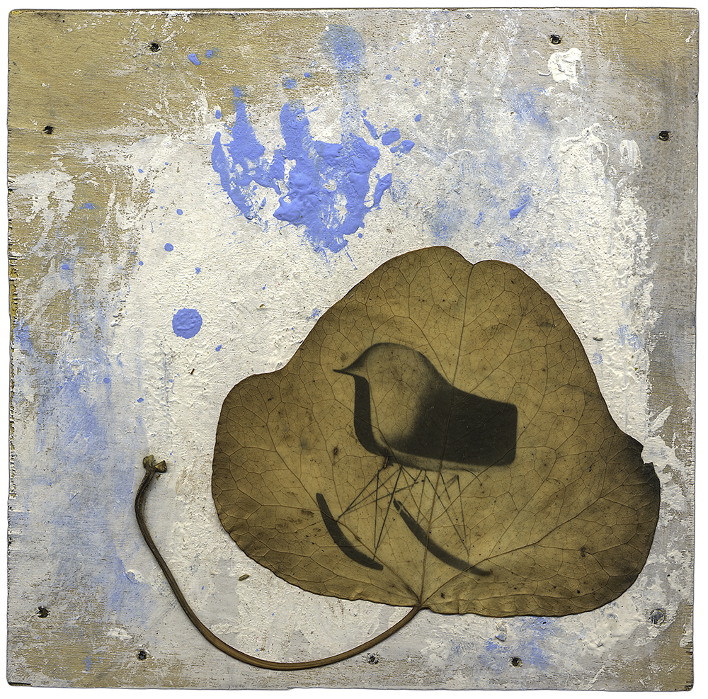Splattered Paint Surrounds a Leaf with a Rocking Chair. Splattered Paint Surrounds a Leaf with a Rocking Chair.