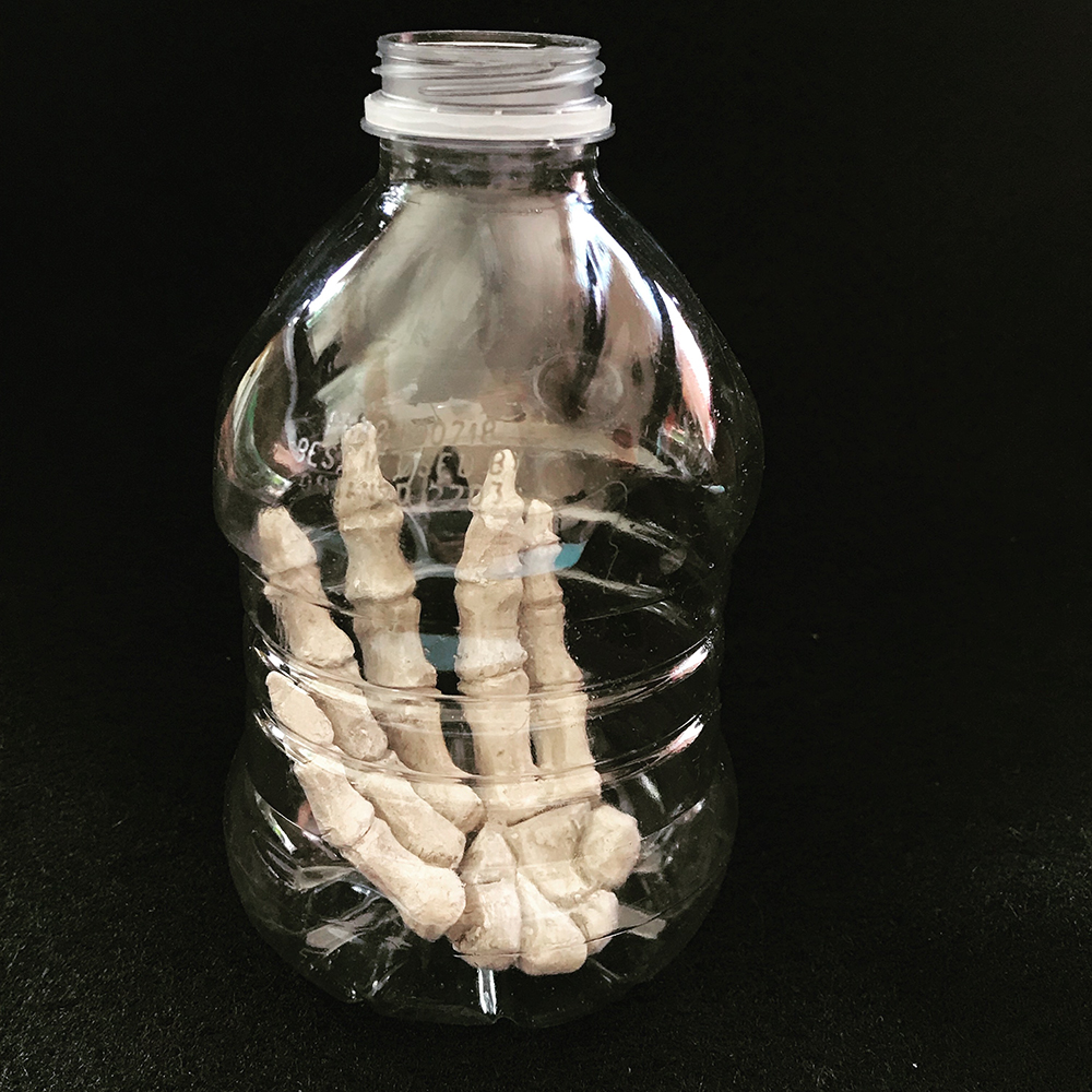 Ceramic Fossil in a Plastic Bottle Ceramic Fossil in a Plastic Bottle