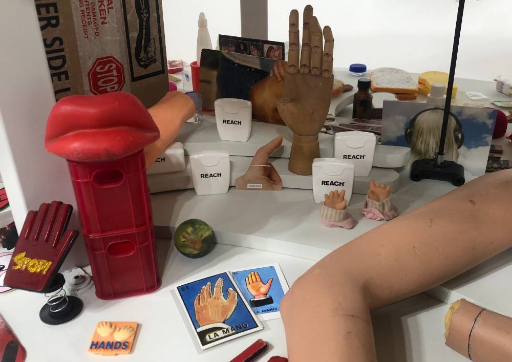 Feralscape Anatomical Objects on a Table