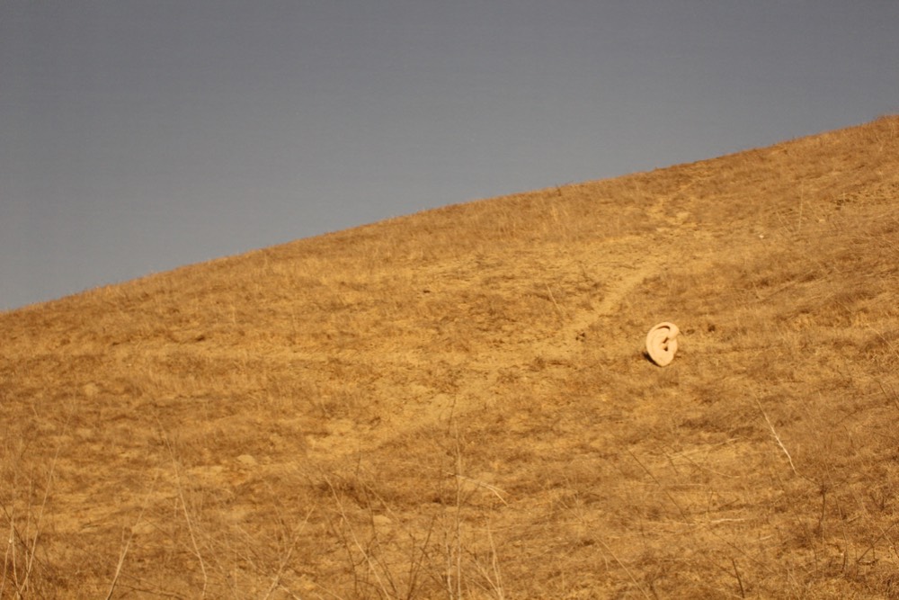 Ear in a landscape.
