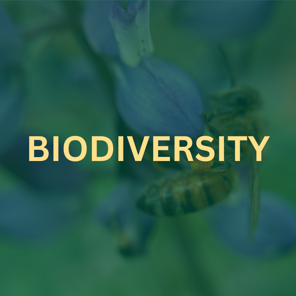 Biodiversity