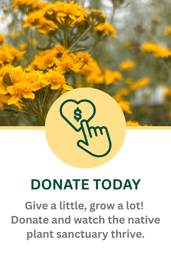 Donate today and watch the native plant sanctuary thrive.
