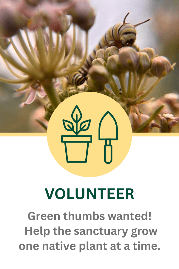 Volunteers wanted. Help the sanctuary grow one plant at a time. 