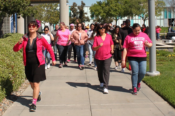 Breast Cancer Walk Participants
