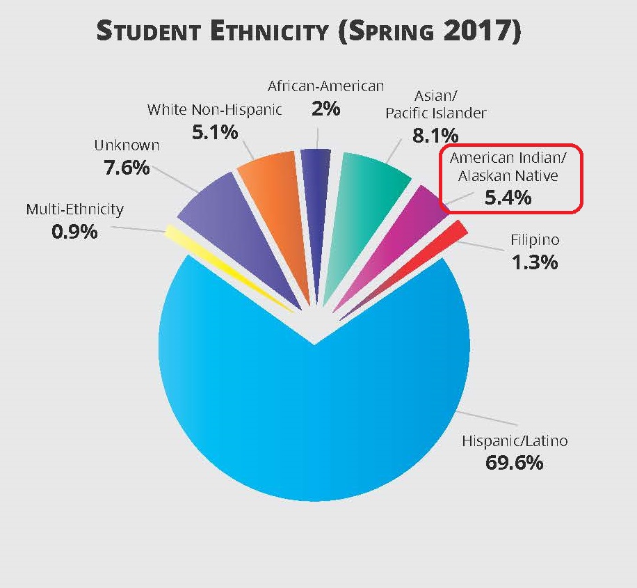 Student Ethnicity