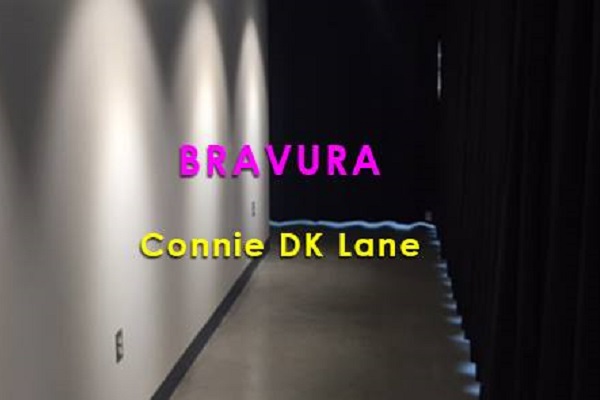 Bravura by Connie DK Lane