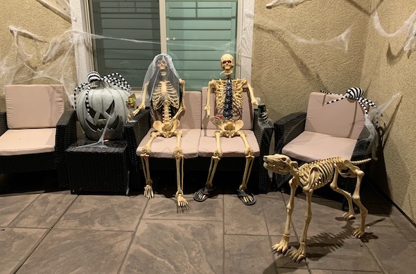 Skeleton bride and groom with a dog