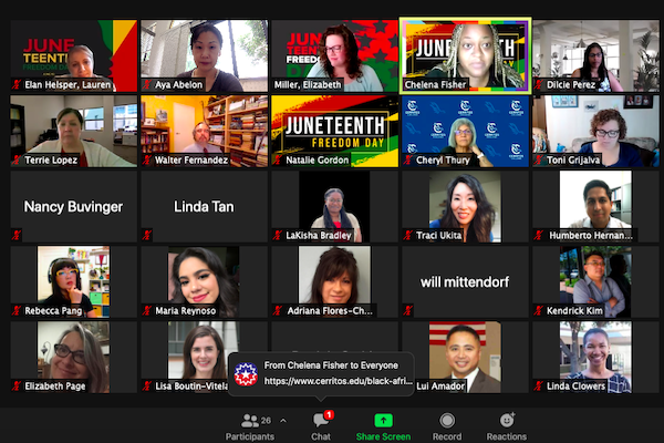 Juneteenth zoom participants