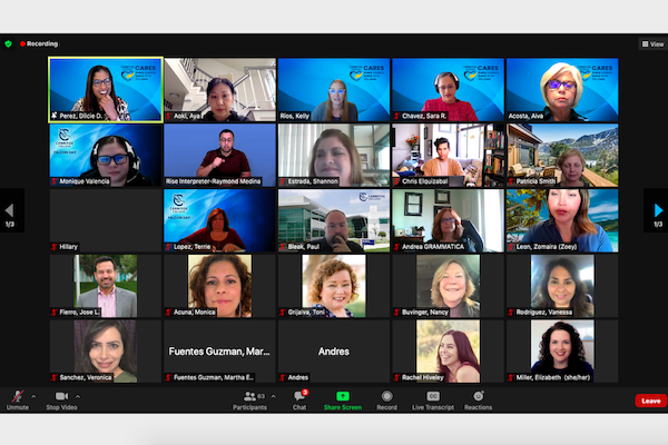 Falcon Day zoom participants