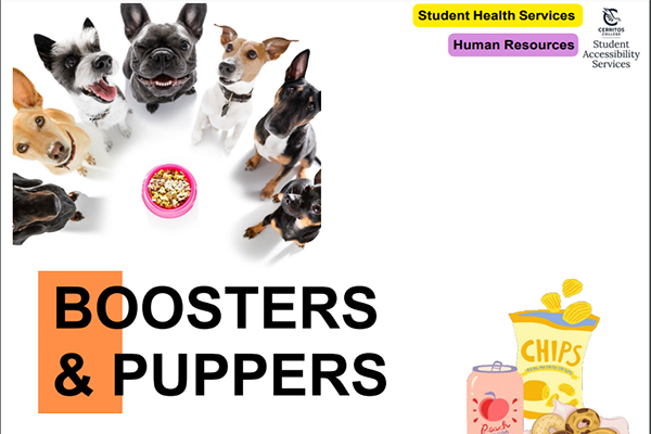 Boosters and Puppers Student Accessibility Services Human Resources