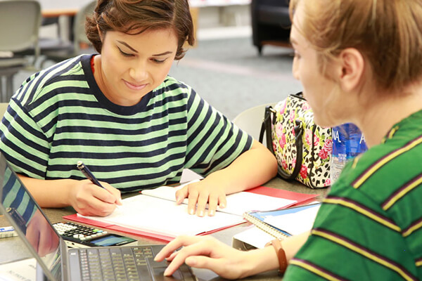 Business accounting students