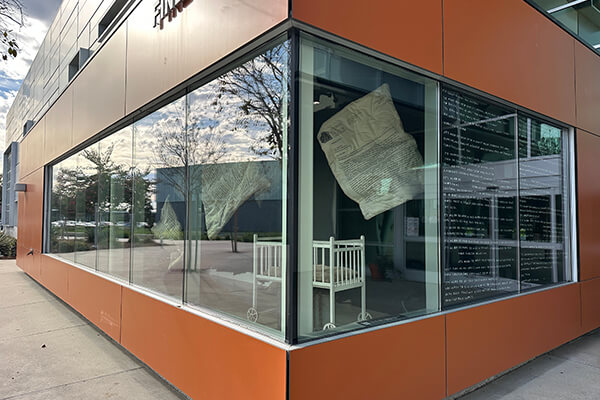 Window Dressing: Joy Ray