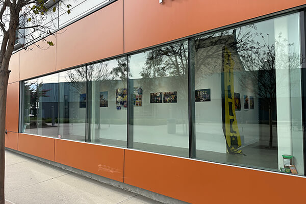 Window Dressing: Amy Zapada