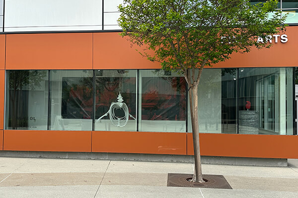 Window Dressing: Devin Wilson