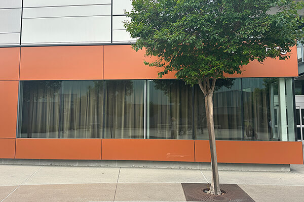 Window Dressing: A Laura Brody