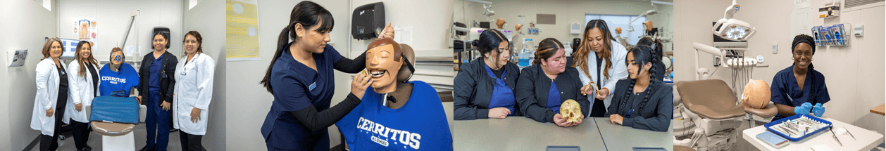 dental hygiene header