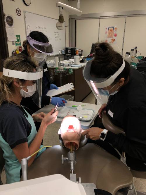Our Dental Assisting students in a lab setting. 