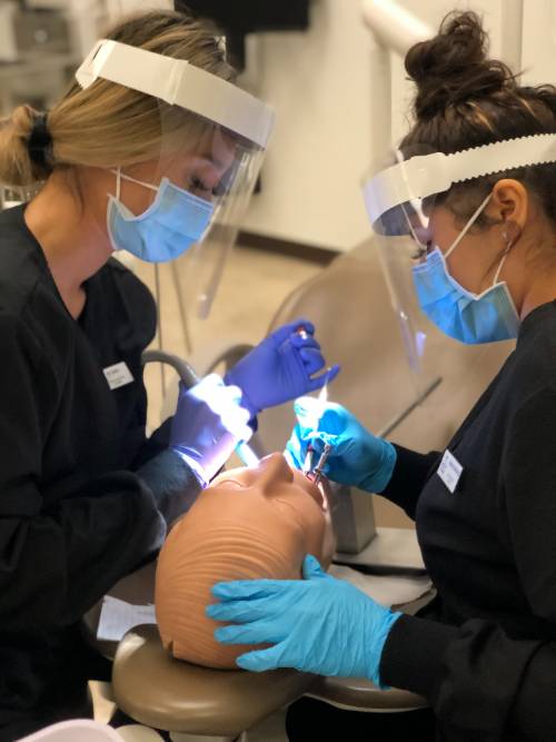 Our Dental Assisting students in a lab setting. 