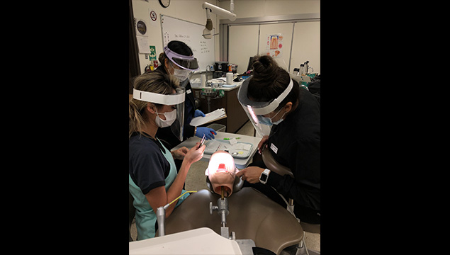 Three individuals working on teeth