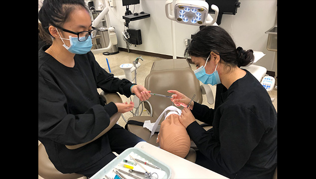 Two dental students working on teeth