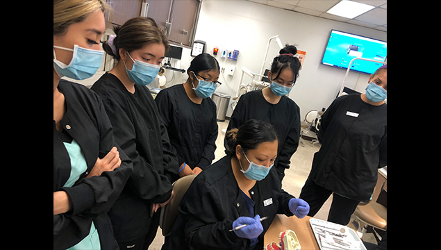 Dental students participating in class