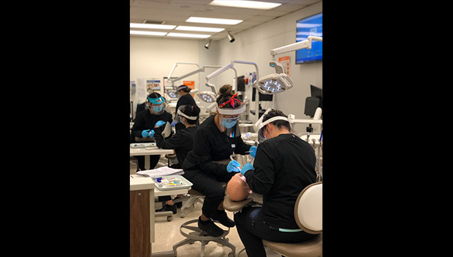 Several Dental students participating class