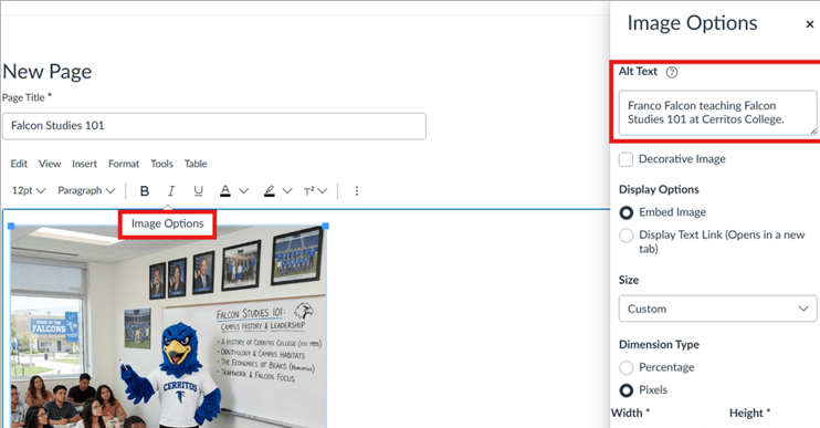 Canvas editor screenshot showing Image Options panel with alt text field highlighted for a falcon mascot classroom image.