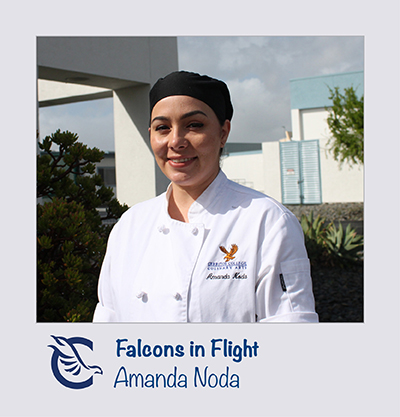 Amanda Noda Falcons in Flight