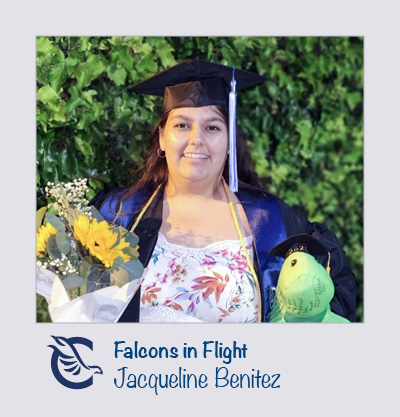 Falcons in Flight Jacqueline Benitez