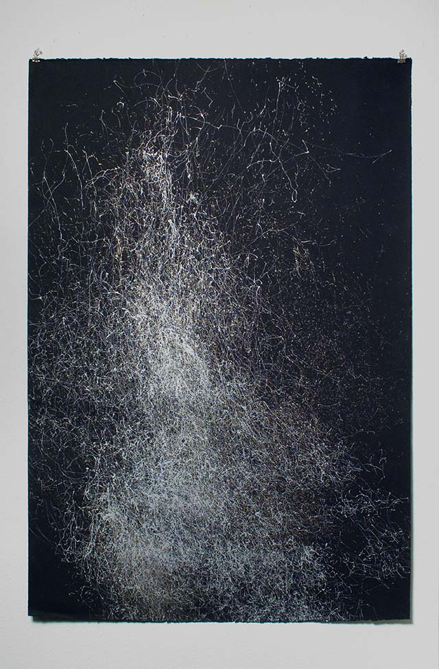 Drawings made by branches in wind.