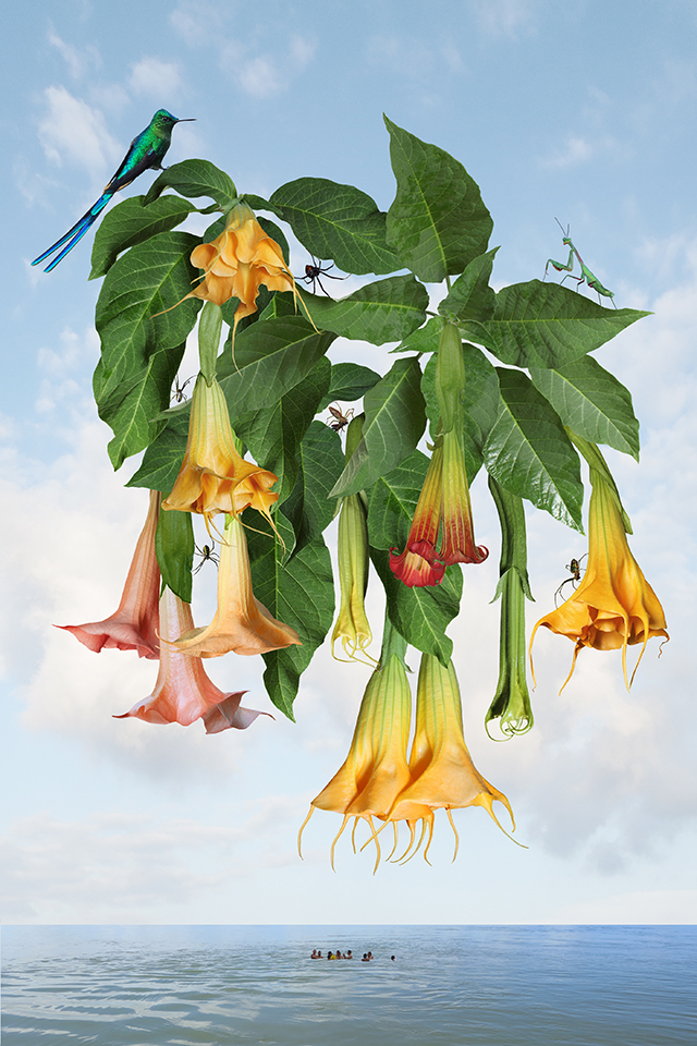 A plant with birds and bugs.